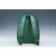 Goyard Chevron Green Backpack 18927366
